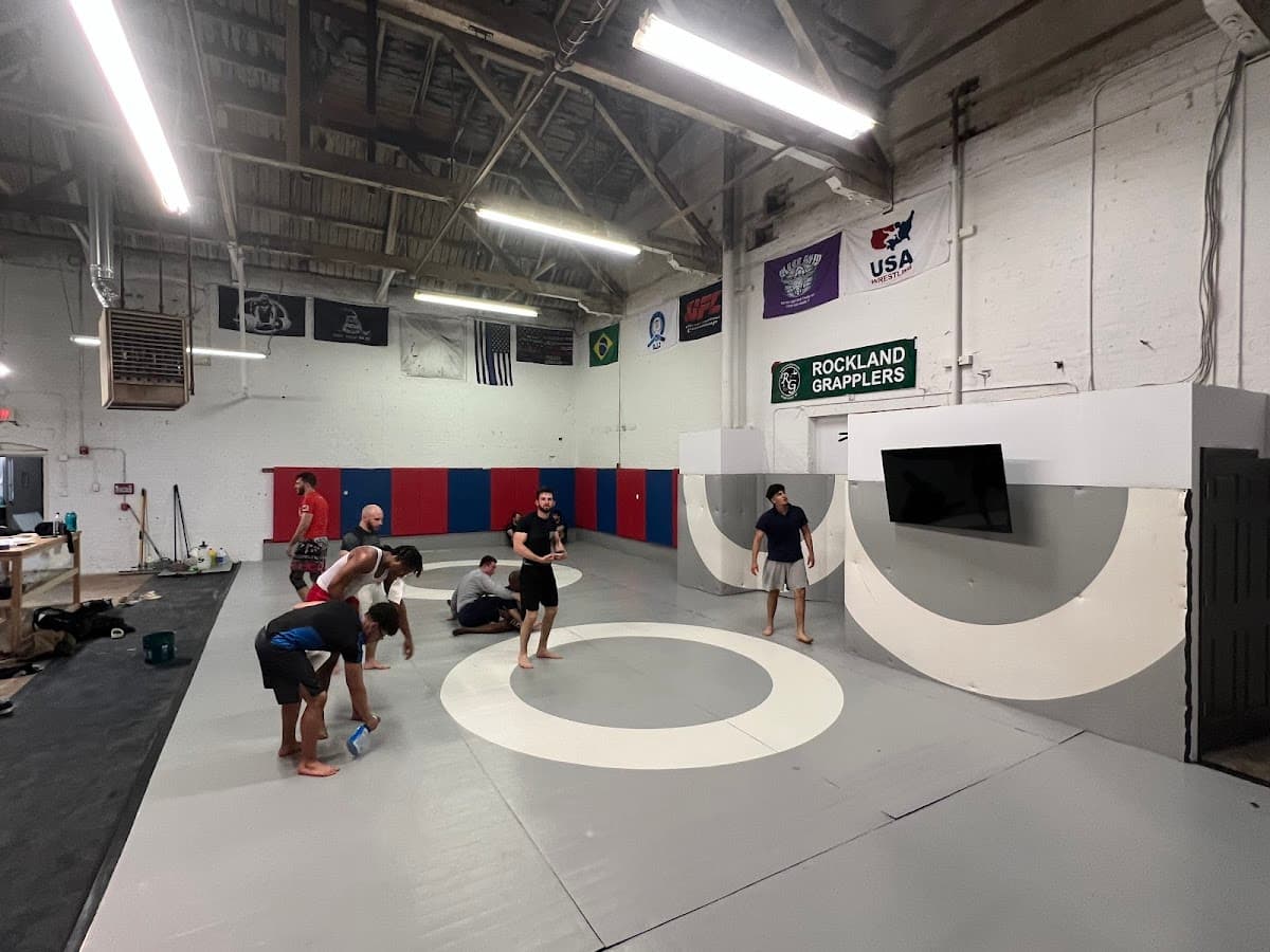 BJJ, Wrestling & Boxing Classes
