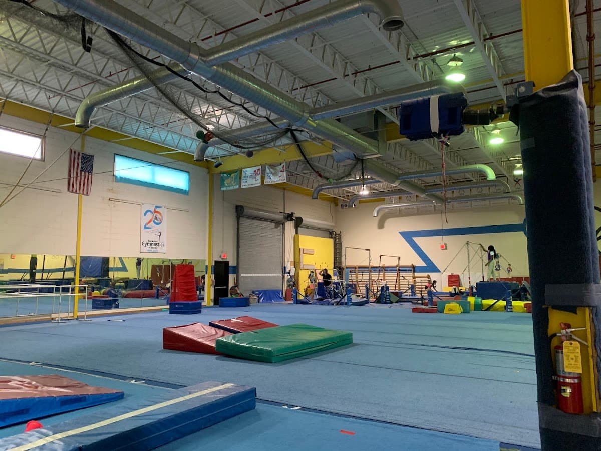 Recreational & Team Gymnastics